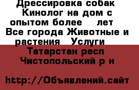 Дрессировка собак (Кинолог на дом с опытом более 10 лет) - Все города Животные и растения » Услуги   . Татарстан респ.,Чистопольский р-н